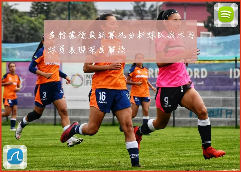 多特蒙德最新赛况分析球队战术与球员表现深度解读